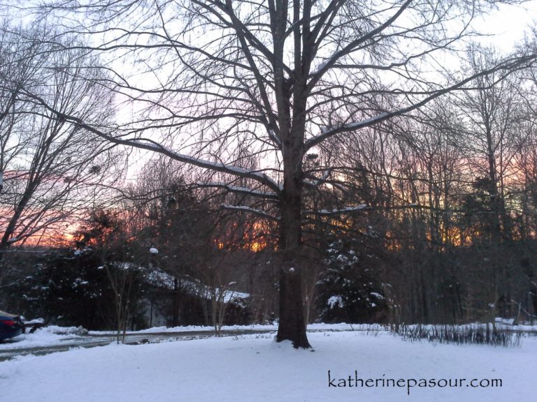 Be careful what you wish for