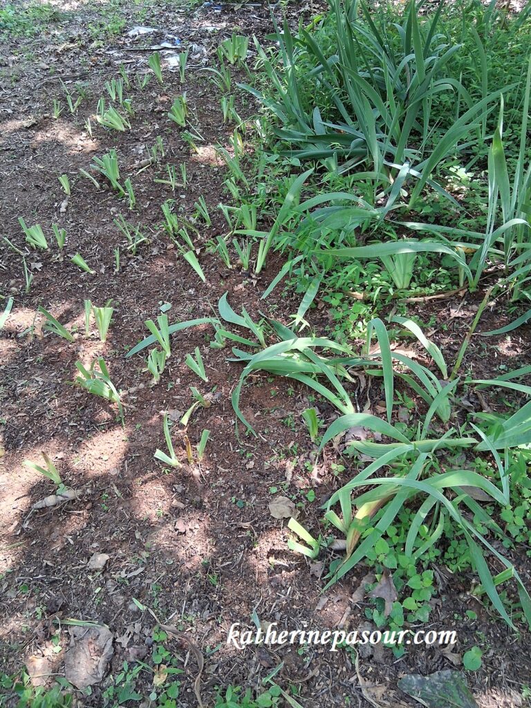 Making room for growth