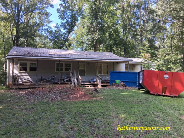 Looking back, pressing forward