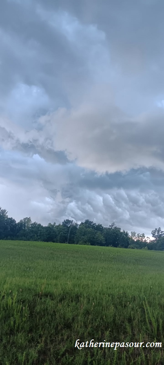 Storms of life